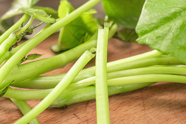 有(yǒu)機(jī)地(dì)瓜葉5