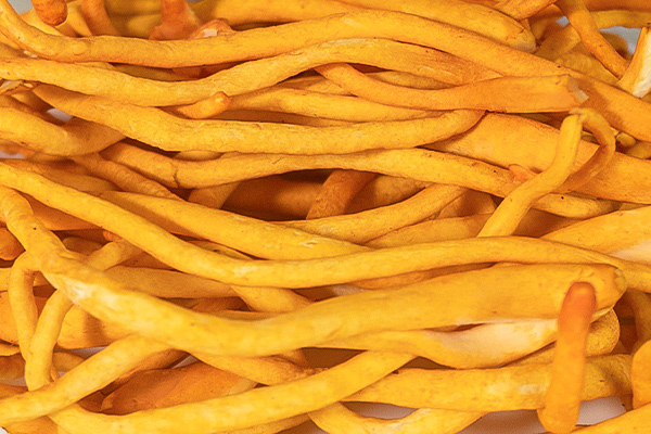 有(yǒu)機(jī)蟲草(cǎo)花(huā)3