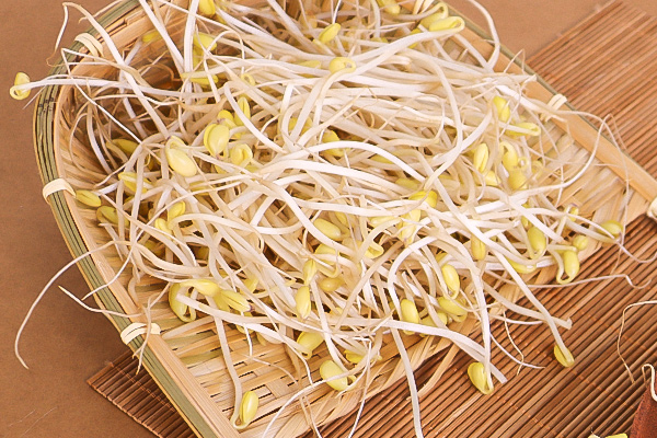 有(yǒu)機(jī)黃(huáng)豆芽3
