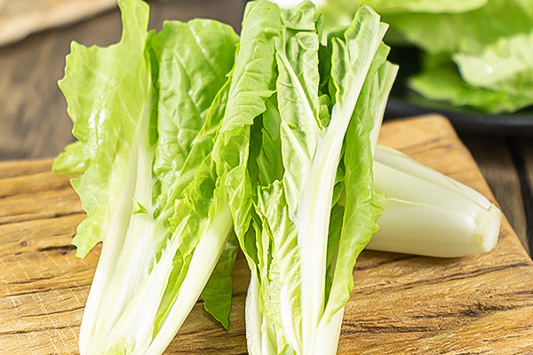 有(yǒu)機(jī)杭白(bái)菜2