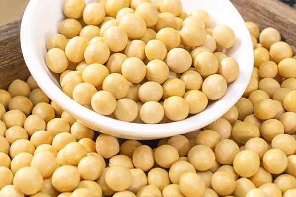 有(yǒu)機(jī)黃(huáng)豆4