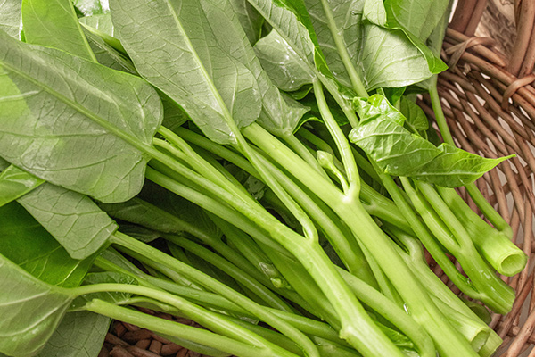 有(yǒu)機(jī)空(kōng)心菜3