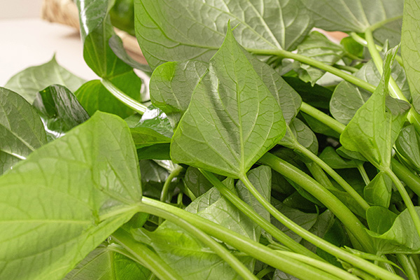 有(yǒu)機(jī)地(dì)瓜葉2