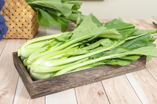 有(yǒu)機(jī)青秀油菜