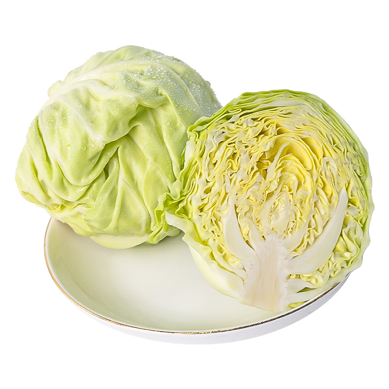 有(yǒu)機(jī)綠(lǜ)甘藍(lán)白(bái)底