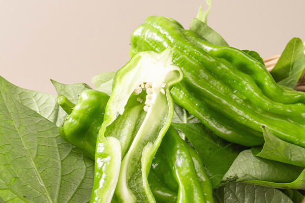 有(yǒu)機(jī)青椒2