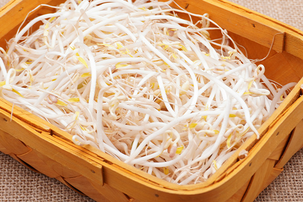 有(yǒu)機(jī)綠(lǜ)豆芽1