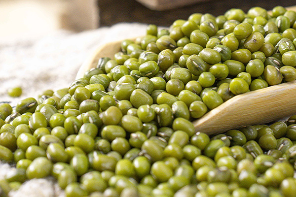 有(yǒu)機(jī)綠(lǜ)豆5