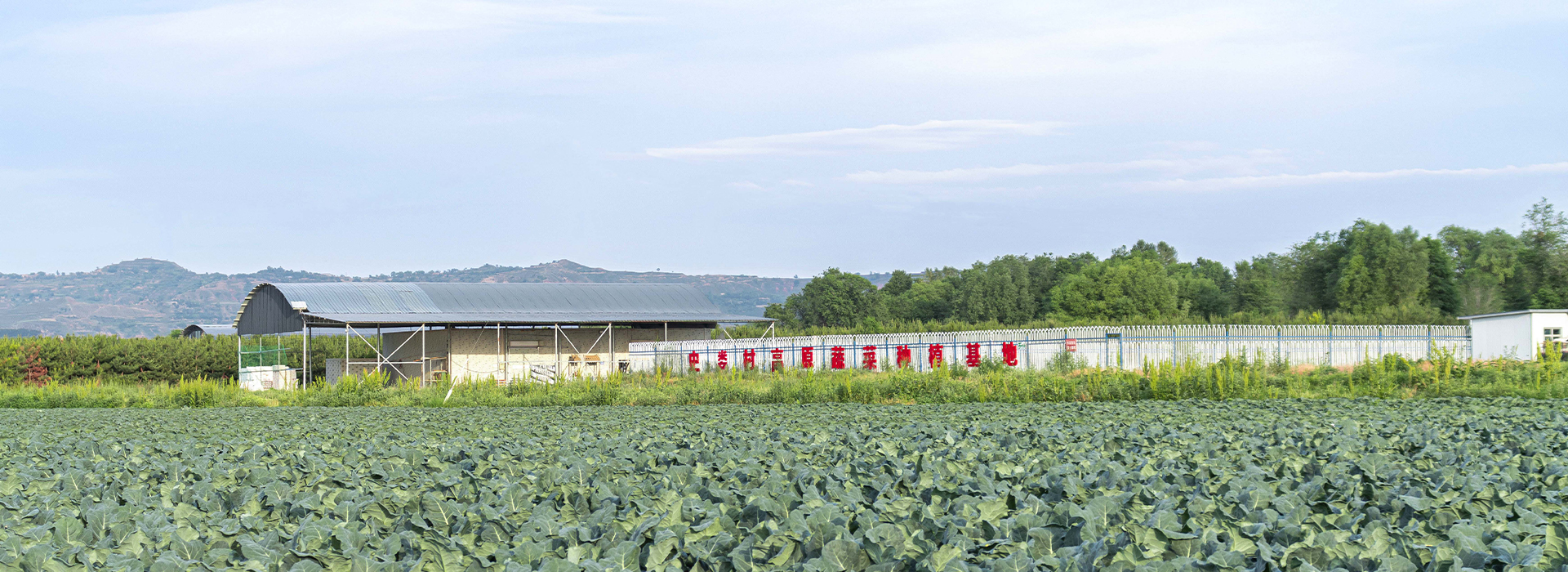 重慶每克有機農業科技有限公司
